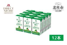 森永製菓 おいしい青汁 125ml 12本 セット 機能性表示食品 青汁飲料 飲みやすい 食物繊維  森永製菓 おいしい青汁 125ml 紙パック 12本 青汁 飲みやすい 食物繊維 野菜不足 機能性表示食品 飲料 山梨県 北杜市