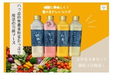 フェリチタドレッシング　ラージ4本セット  ドレッシング 540ml 4本 セット 手づくり 有機野菜 調味料 人参 ビーツ 胡麻 オリエンタル 万能 フェリチタ サラダ 万能調味料 化学調味料不使用 保存料不使用 無着色 無添加 北杜市