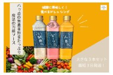 フェリチタドレッシング　ラージ3本セット  ドレッシング 540ml 3本 セット 手づくり 有機野菜 調味料 人参 ビーツ 胡麻 万能 フェリチタ サラダ 万能調味料 化学調味料不使用 保存料不使用 無着色 無添加 北杜市