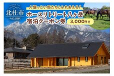 ホースリトリート八ヶ岳　宿泊クーポン 3,000円分 宿泊 クーポン券 宿泊券 養老牧場 体験 自然 山梨県 北杜市 八ヶ岳