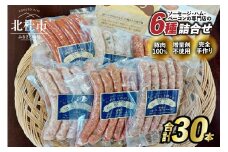 食べ比べソーセージセット（6種30本入り） ウインナー ソーセージ 詰合せ セット 6種類 30本 大容量 チョリソー ジャーマン バーベキュー キャンプ パーティー 手作り フランク 食べ比べ オールポーク 豚肉100％ 天然腸 山梨県 白州 北杜市