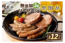 無添加ソーセージ（2種32本）・無添加ハンバーグソーセージ（100g×4パック）セット   無添加 詰合せ バーベキュー キャンプ パーティー 手作り フランク 食べ比べ オールポーク 豚肉100％ 天然腸 山梨県 白州 北杜市