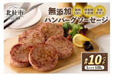 無添加ハンバーグソーセージ（100g×10パック入り）　無添加 バーベキュー キャンプ パーティー 手作り フランク オールポーク 豚肉100％ 天然腸 山梨県 白州 北杜市 