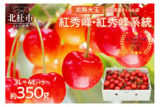 完熟大玉・さくらんぼ（3L～4Lバラ 約350g）【2025年先行予約】  さくらんぼ 3L～4L 完熟大玉バラ 約350g 【期間限定】 毎日農業記録賞 全国最優秀賞 受賞 紅秀峰 紅秀峰系統 大玉 チェリー 甘い 農家直送 果物 フルーツ やまなしＧＡＰ認証 ※2025年6月中旬以降順次発送 数量限定 山梨 北杜市 岩原果樹園