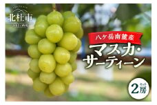 【2025年先行予約】八ケ岳南麓産「マスカ・サーティーン」  2025年 先行予約 ぶどう 2房 セット 約1kg 期間限定 数量限定 新品種 葡萄 ブドウ フルーツ 果物 弾力 大粒 甘い 山梨県 北杜市 八ヶ岳南麓