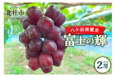 【2025年先行予約】八ケ岳南麓産「富士の輝」  ブラックシャインマスカット 2025年 先行予約 2房 セット 期間限定 数量限定 富士の輝 新品種 葡萄 ぶどう ブドウ フルーツ 果物 大粒 濃厚 コク 甘い 希少種 シャインマスカット 山梨県 北杜市 八ヶ岳南麓