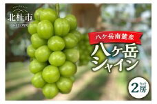【2025年先行予約】八ケ岳南麓産「八ケ岳シャイン」シャインマスカット  2025年 先行予約 2房 セット 約1kg 期間限定 数量限定 八ヶ岳シャイン 葡萄 ぶどう ブドウ シャイン マスカット フルーツ 果物 高品質 大粒 甘い 朝採り 山梨県 北杜市 八ヶ岳南麓