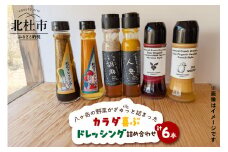 八ヶ岳の野菜がぎゅっと詰まったカラダ喜ぶドレッシング詰め合わせ×6本 ドレッシング 野菜 詰め合わせ 6本 160ml×2本 200ml×4本 フェリチタドレッシング 杜のドレッシング ナチュラルドレッシング 調味料 食べ比べ 手づくり サラダドレッシング