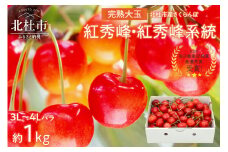 完熟大玉・さくらんぼ（3L～4Lバラ 約1kg） さくらんぼ 3L～4L バラ 【期間限定】 約1kg 毎日農業記録賞 全国最優秀賞 受賞 完熟大玉バラ  紅秀峰 やまなしＧＡＰ認証 フルーツ グランプリ ※2025年6月中旬以降順次発送 岩原果樹園 山梨県 北杜市