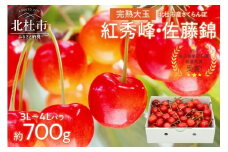 【2026年発送 先行予約】完熟大玉・さくらんぼ（3L～4Lバラ 約700g） 佐藤錦 紅秀峰 優良系統 チェリー 果物 やまなしGAP認証 フルーツ グランプリ ※2026年6月中旬以降順次発送 岩原果樹園 山梨県 北杜市
