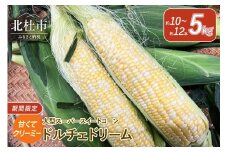 【2025年先行予約】今が旬！茅ヶ岳高原 クリーミー 大型 スーパースイートコーン《ドルチェドリーム》  期間限定 数量限定 とうもろこし ドルチェドリーム 5kg 約10本～12本 スイートコーン  夏野菜 