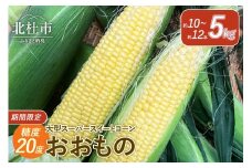 今が旬！茅ヶ岳高原 糖度20度 大型スーパースイートコーン《おおもの》 期間限定 数量限定 とうもろこし おおもの 5kg 約10本～12本 スーパースイートコーン  夏野菜 