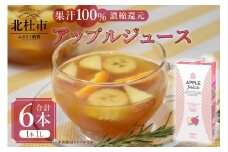 三井農林 WN(ホワイトノーブル紅茶) アップルジュース 1L×6本 アップルジュース 濃縮還元 100％ ホワイトノーブル 1L 1000ml 6本 紙パック ストレート アレンジティー 透明タイプ リンゴ 飲料 日東紅茶 業務用 優雅 贅沢 ティータイム 山梨県 北杜市