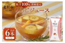 三井農林 WN(ホワイトノーブル紅茶) りんごジュース 1L×6本 りんごジュース 濃縮還元 100％ ホワイトノーブル 1L 1000ml 6本 紙パック ストレート アレンジティー 混濁タイプ リンゴ 飲料 日東紅茶 業務用 優雅 贅沢 ティータイム 山梨県 北杜市