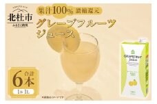 三井農林 WN(ホワイトノーブル紅茶) グレープフルーツジュース 1L×6本 グレープフルーツジュース 濃縮還元 100％ ホワイトノーブル 1L 1000ml 6本 紙パック ストレート アレンジ グレープフルーツ 飲料 日東紅茶 業務用 優雅 贅沢 ティータイム 山梨県 北杜市
