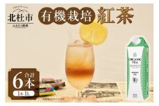 三井農林 WN(ホワイトノーブル紅茶) 有機栽培紅茶 1L×6本 有機栽培紅茶 有機栽培 紅茶 ホワイトノーブル 1L 1000ml×6本 紙パック アレンジティー 飲料 日東紅茶 業務用 優雅 贅沢 ティータイム 山梨県 北杜市