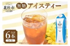 三井農林 WN(ホワイトノーブル紅茶) 無糖アイスティー 1L×6本 アイスティー 無糖 紅茶 ホワイトノーブル 1L 1000ml×6本 紙パック アレンジティー 飲料 日東紅茶 業務用 優雅 贅沢 ティータイム 山梨県 北杜市