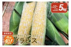【2025年先行予約】今が旬！茅ヶ岳高原 粒ぞろいよし 大型スーパースイートコーン《グラビス》　とうもろこし  5kg 約10本～12本入り 茅ヶ岳高原 夏野菜 旬 トウモロコシ やわらかい 甘い コーン 2025年 発送 期間限定 数量限定 山梨県 北杜市
