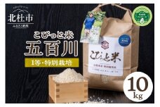 【令和7年度新米先行予約】【令和7年度米】こぴっと米【五百川】10kg　1等特別栽培米100％　米 精米 早生品種 新米 北杜市産 お米
