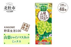 カゴメ 野菜生活100 山梨シャインマスカットミックス 195ml 紙パック 48本入   野菜ジュース 果実 mix 季節限定 砂糖不使用 ビタミンC 健康志向 KAGOME 飲料 山梨県 北杜市