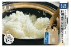 【令和7年度米6ヶ月定期便】白州産コシヒカリ　特別栽培米　3キロ  おこめ コシヒカリ 山梨県産 もっちり おにぎり お弁当