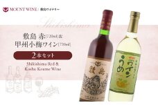 【敷島 赤 & 甲州小梅ワイン】720ml × 2本 セット 敷島醸造 赤ワイン わいん 梅ワイン ワインセット 国産ワイン 日本ワイン ミディアム 飲み比べ 甘口 山梨 甲斐市 F-2
