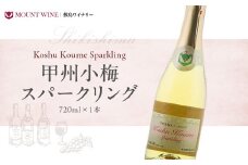 甲州小梅スパークリング 720ml 酸味と甘みのバランスの取れた甘口スパークリング 敷島醸造 ワイン わいん スパークリングワイン 山梨 甘口 小梅ワイン 国産ワイン 甲州 日本ワイン 梅ワイン 甲斐市 F-10