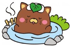 甲斐市応援セットB