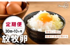 【10ヵ月定期便】放牧卵30個×10ヶ月 卵 たまご タマゴ 玉子 鶏卵 山梨 黒富士農場 産みたて 新鮮 自然卵 放牧卵 たまごかけご飯 平飼い 定期便 冷蔵 山梨県 甲斐市 B-20