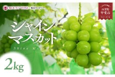 【2024年発送】たっぷり2kg 自社農園で栽培した秘蔵のシャインマスカット 2kg 山梨県 シャインマスカット シャイン 果物フルーツ 大粒 ぶどう 葡萄 ブドウ 果物 人気 おすすめ 種なし ワイン 新鮮 高級 ギフト 山梨県産 甲斐市 F-13