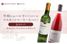 【甲州シュール・リー ＆ マスカットべーリーA】計6本 ( 720ml ×2種 × 3本 )  敷島醸造 赤ワイン 白ワイン わいん ワインセット 飲み比べ 甲州 辛口 ライトボディ 日本ワイン 国産ワイン 山梨 甲斐市 F-19