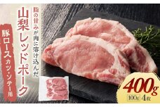 【山梨レッドポーク】カツ・ソテー用 100g×4枚 計400g 豚 豚肉 お肉 肉 豚ロース 厚切り 厚切 トンカツ とんかつ ポークソテー ロース切身 国産 冷凍 山梨県 甲斐市 Y-6
