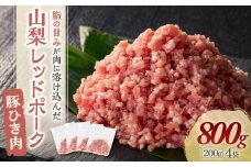 【山梨レッドポーク】豚ひき肉 200g×4袋 計800g 肉 お肉 ひき肉 挽肉 豚肉 国産 小分け 冷凍 真空 山梨県 甲斐市 Y-9