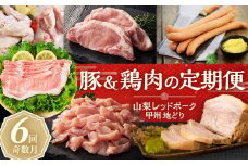 【お肉の定期便 6回】山梨レッドポーク・甲州地どり 豚＆鶏肉の定期便 全6回 手羽元 手羽先 地鶏 豚ロース 焼き豚 ソーセージ ウィンナー 生姜焼き用 こま切れ 山梨県 甲斐市 Y-18