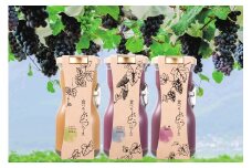 ぶどう100％ジュース！山梨県産のぶどうを皮も種もまるごと使った「食べるぶどうジュース」満足コース　[山梨 ぶどうジュース 贅沢 美容 無添加]