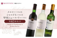 特選3本セット【メルロー & シャルドネ & 甲州シュール・リー】 720ml×3本 敷島醸造 ワイン 赤ワイン 白ワイン わいん シャルドネ ワインセット 辛口 日本ワイン 国産ワイン ギフト お祝い 飲み比べ 山梨 甲斐市 F-20