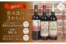 新！甲斐市産赤ワイン3本セット　ワイン 家飲み 赤ワイン 日本ワイン 山梨ワイン 定番 テーブルワイン お酒 サントリー 飲み比べ 山梨県 甲斐市 AD-34