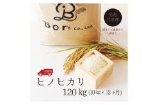 『１年間お届け』ヒノヒカリ　計120kg　10kg×12ヶ月　[山梨 お米 定期便]