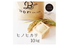 ヒノヒカリ　　10kg　[山梨 お米]