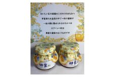 石川蜜園そのまんま　蜂蜜(250g×2本)セット [山梨 はちみつ 蜂蜜]