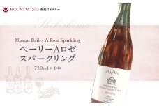 ベーリーAロゼスパークリング 720ml 敷島醸造 ワイン ロゼ ロゼワイン スパークリングワイン 辛口 山梨 甘口 日本ワイン 国産ワイン ぶどう ギフト お祝い  甲斐市 F-29