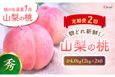 【2025年発送】定期便 もぎたて！ 桃 5～7玉 2kg 2回定期便 先行予約 先行 予約 山梨県産 産地直送 フルーツ 果物 くだもの モモ もも 朝どれ 朝採れ 新鮮 人気 おすすめ 国産 贈答 ギフト お取り寄せ 山梨 甲斐市 AD-174