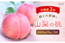 【2025年発送】 定期便 もぎたて！ 桃 5～7玉 2㎏ 定期便3回 先行予約 先行 予約 山梨県産 産地直送 フルーツ 果物 くだもの モモ もも 朝どれ 朝採れ 新鮮 人気 おすすめ 国産 贈答 ギフト お取り寄せ 山梨 甲斐市 AD-175