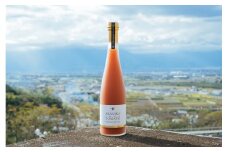 甲斐市赤坂トマトで作った「プレミアムトマトジュース」[山梨 トマト トマトジュース 無添加] AD-191
