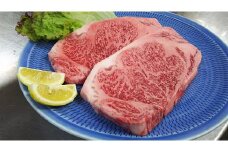 甲州牛サーロインステーキカット500g [山梨 牛肉 甲州牛 ステーキ]