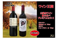 山梨赤ワイン飲み比べ　プレミアムセットⅡ　[山梨 ワイン 赤ワイン 日本ワイン]