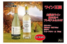 山梨白ワイン飲み比べ　プレミアムセットⅣ　[山梨 ワイン 白ワイン 日本ワイン]