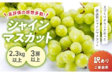 【2025年分発送】 訳あり ご家庭用 シャインマスカット 3房以上 2.3kg 先行予約 先行 予約 山梨県産 産地直送 フルーツ 果物 くだもの ぶどう ブドウ 葡萄 シャイン シャインマスカット 新鮮 人気 おすすめ 国産 贈答 ギフト お取り寄せ わけあり ワケアリ 新鮮 甘い 皮ごと 山梨 甲斐市 BI-1