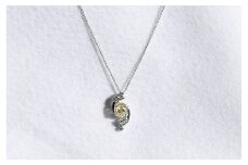 Pt900　ダイヤ　ペンダント　LY/SI-2　1.01ct　0.20ct　[山梨 ダイヤモンド ネックレス プラチナ]