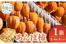 あんぽ柿（パック入り）1箱 3個～4個×5パック 柿 フルーツ 果物 ドライフルーツ 干し柿 山梨 あんぽ柿 和菓子 山梨県 甲斐市 AV-17